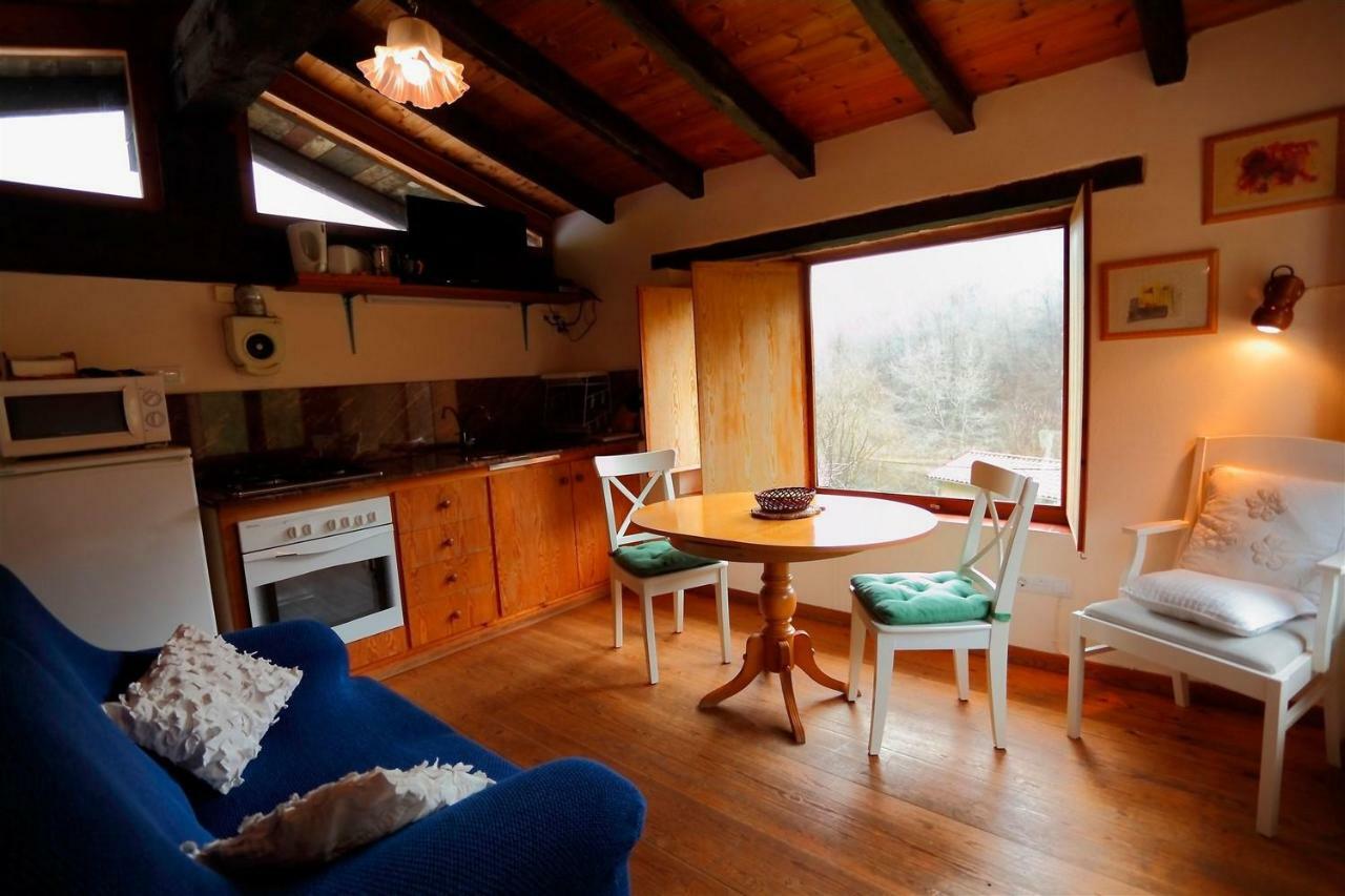 La Cabana Del Moli De La Plana Riudaura 外观 照片