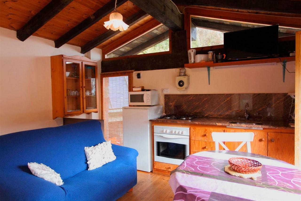 La Cabana Del Moli De La Plana Riudaura 外观 照片