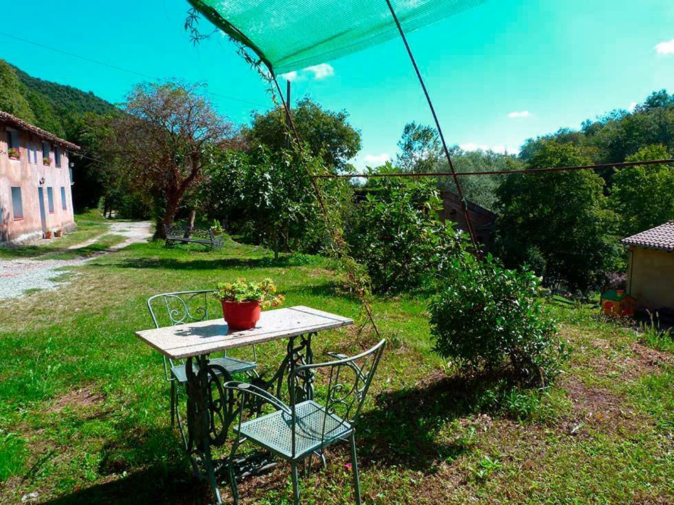 La Cabana Del Moli De La Plana Riudaura 外观 照片
