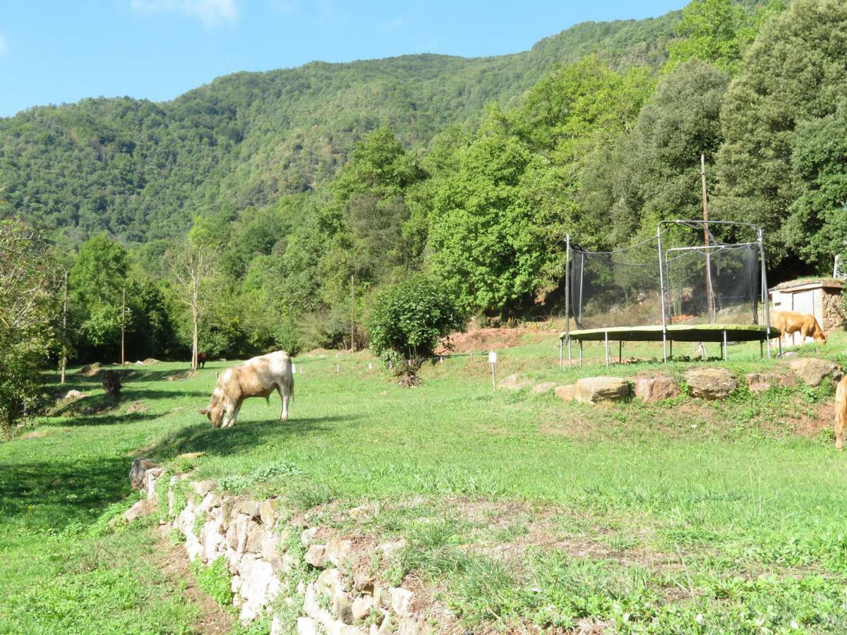 La Cabana Del Moli De La Plana Riudaura 外观 照片